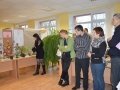 Vėrinių parodos akimirkos