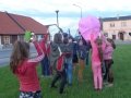 Rožės pražydėjimo vakaro akimirka