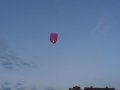 Rožės pražydėjimo vakaro akimirka