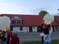 Rožės pražydėjimo vakaro akimirka